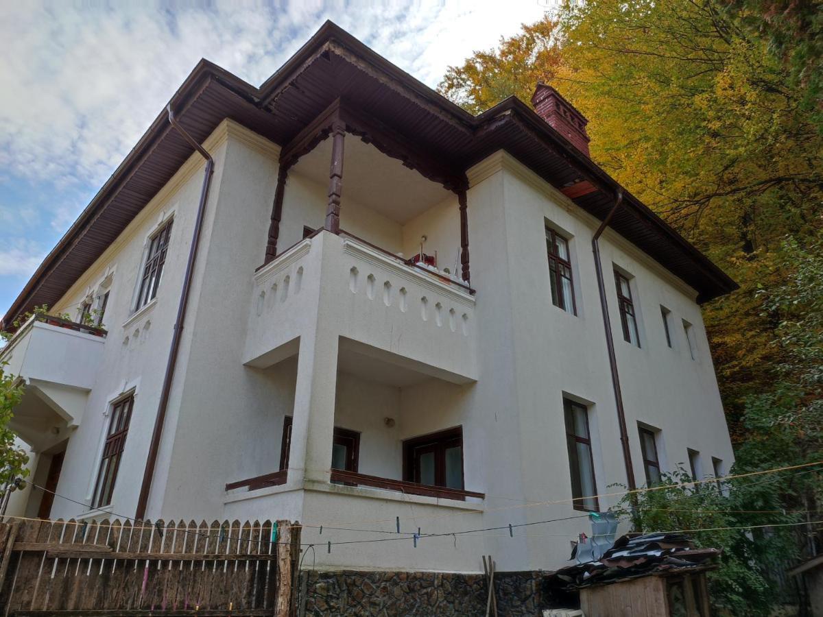 Vila Brazilor Caciulata Exteriér fotografie